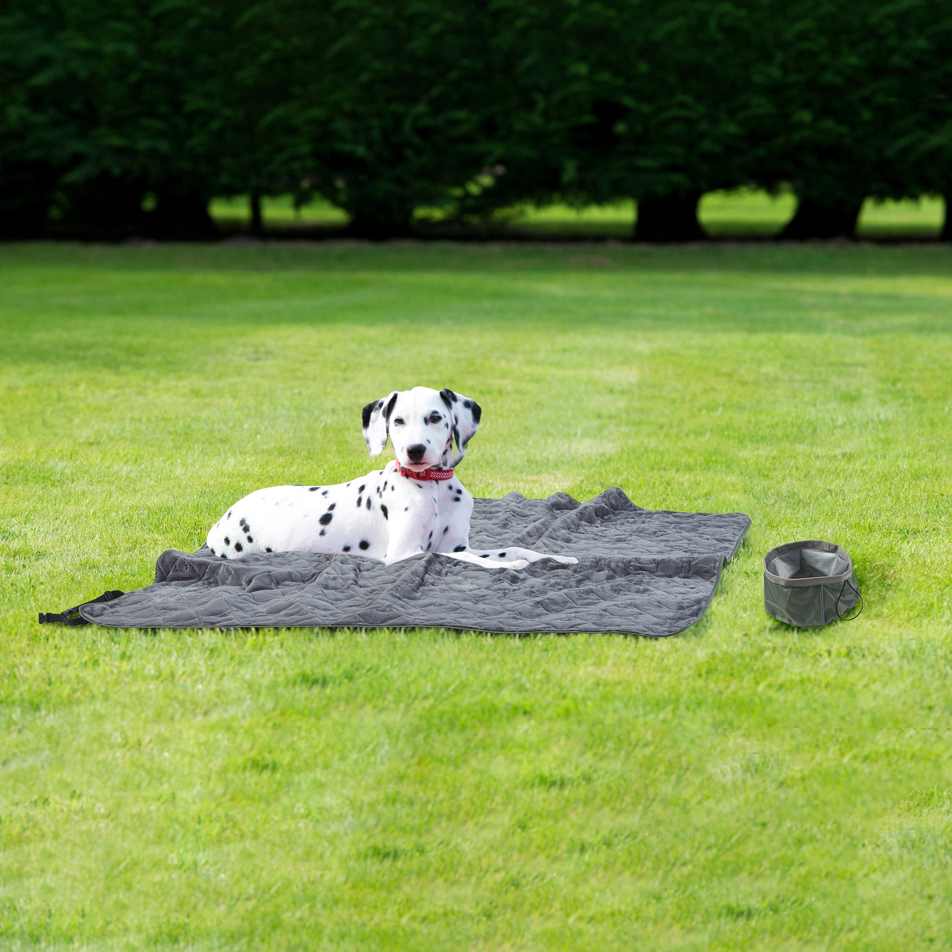 Travel Pet Throw with Collapsible Bowl Set