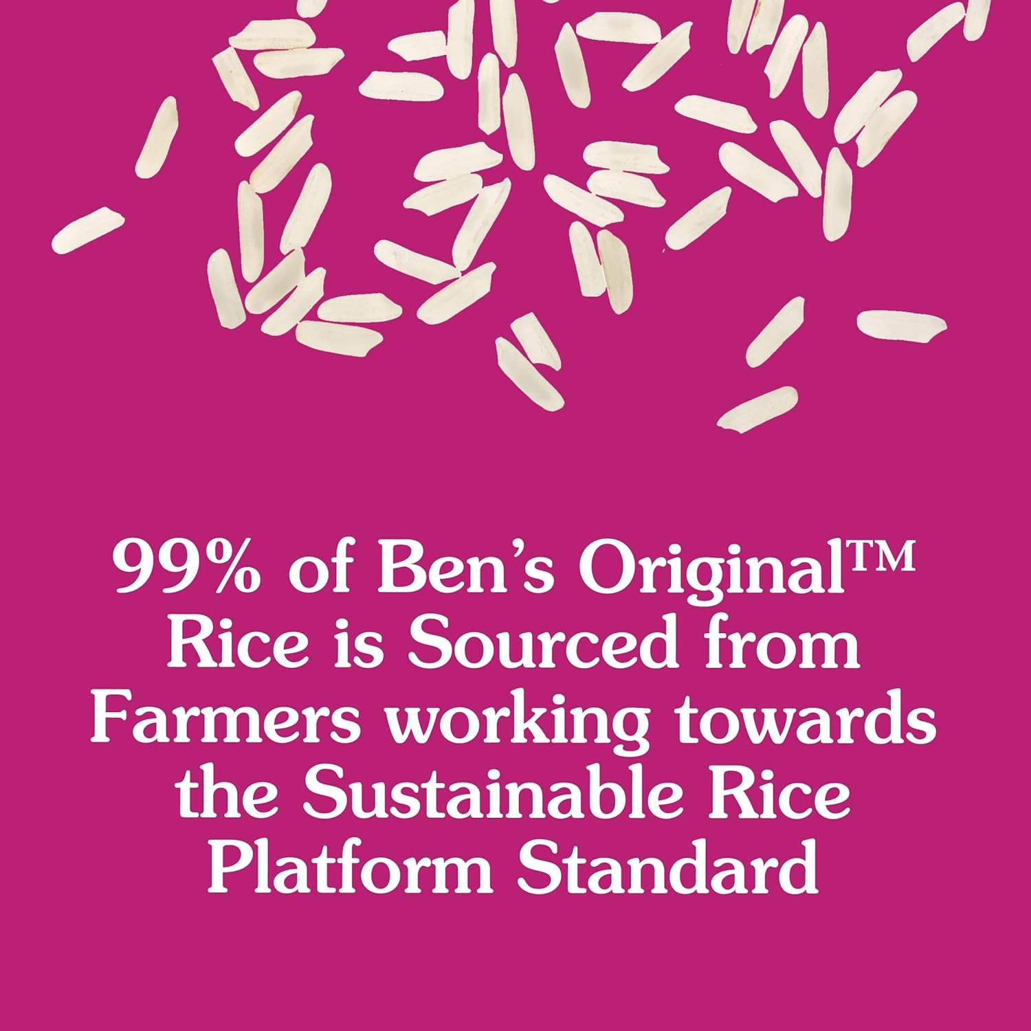 BEN'S ORIGINAL Ready Rice Whole Grain Brown Rice, Easy Dinner Side, 8.8 OZ Pouch (Pack of 6)