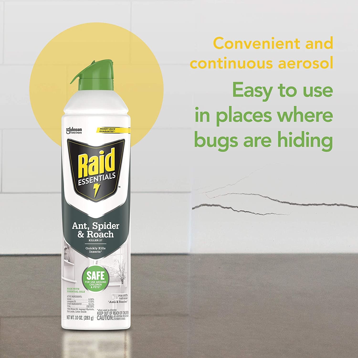 Raid Essentials Ant Spider, and Roach Killer Aerosol Spray, Child & Pet Safe, Kills Insects Quickly, for Indoor Use, 10 Oz