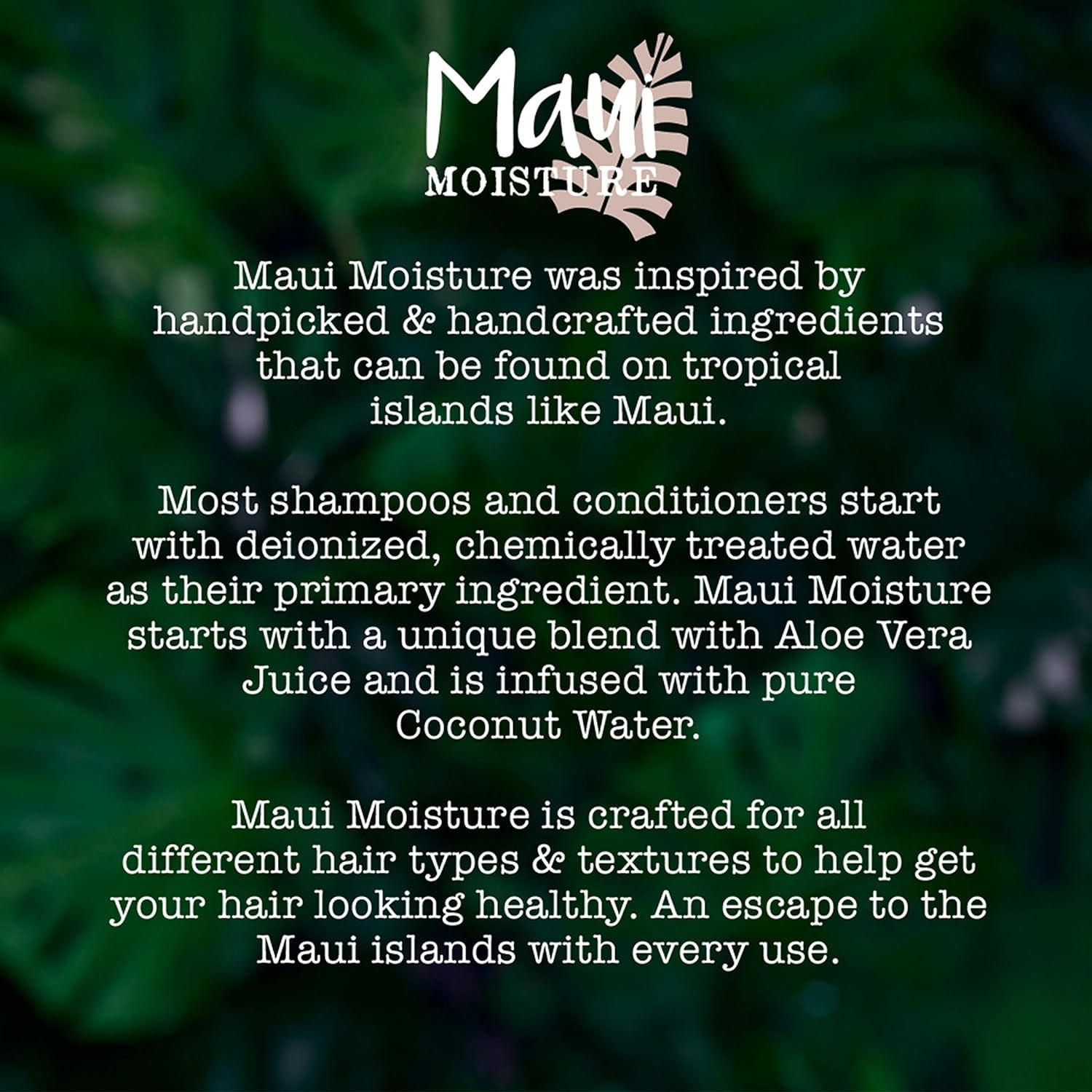 Maui Moisture Lightweight Hydration + Hibiscus Water Shampoo for Daily Moisture, No Sulfates, 13 Fl Oz