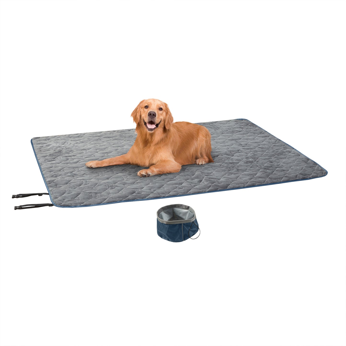 Travel Pet Throw with Collapsible Bowl Set