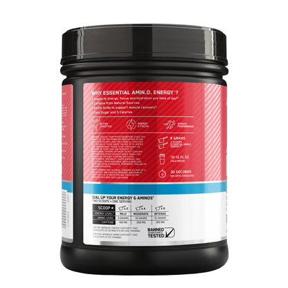 Essential Amino Energy + Electrolytes, Strawberry Burst, 1.51 Lbs