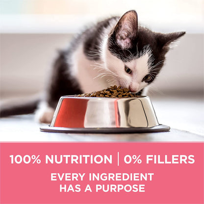 Purina ONE High Protein, Natural Dry Kitten Food, +Plus Healthy Kitten Formula - 3.5 Lb. Bag